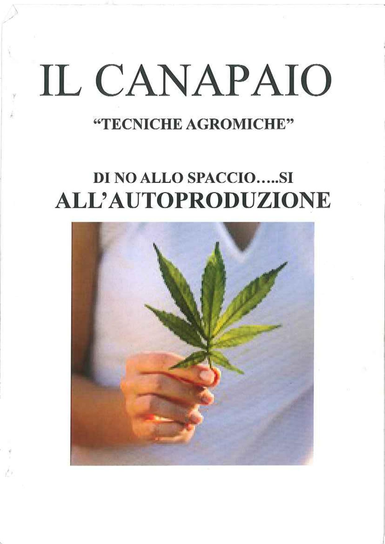 Il Canapaio