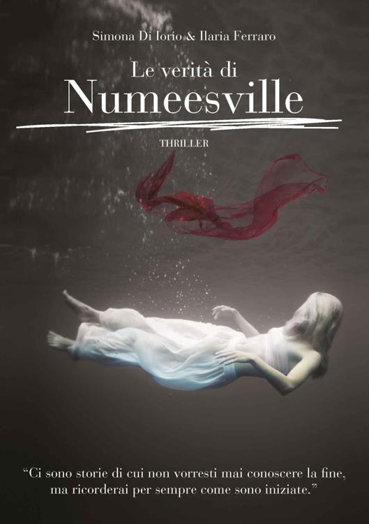 Le verità di Numeesville (Italian Edition)