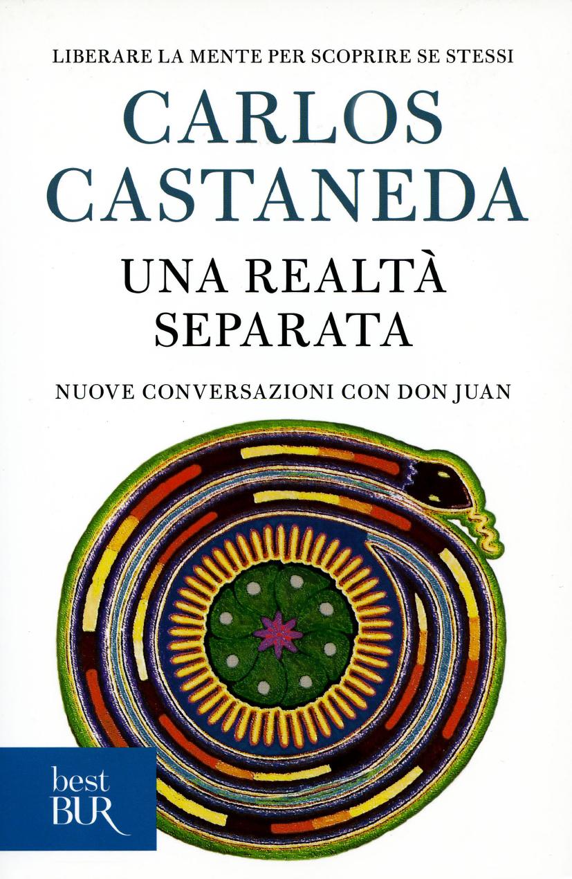 Una realtà separata: Nuove conversazioni con don Juan