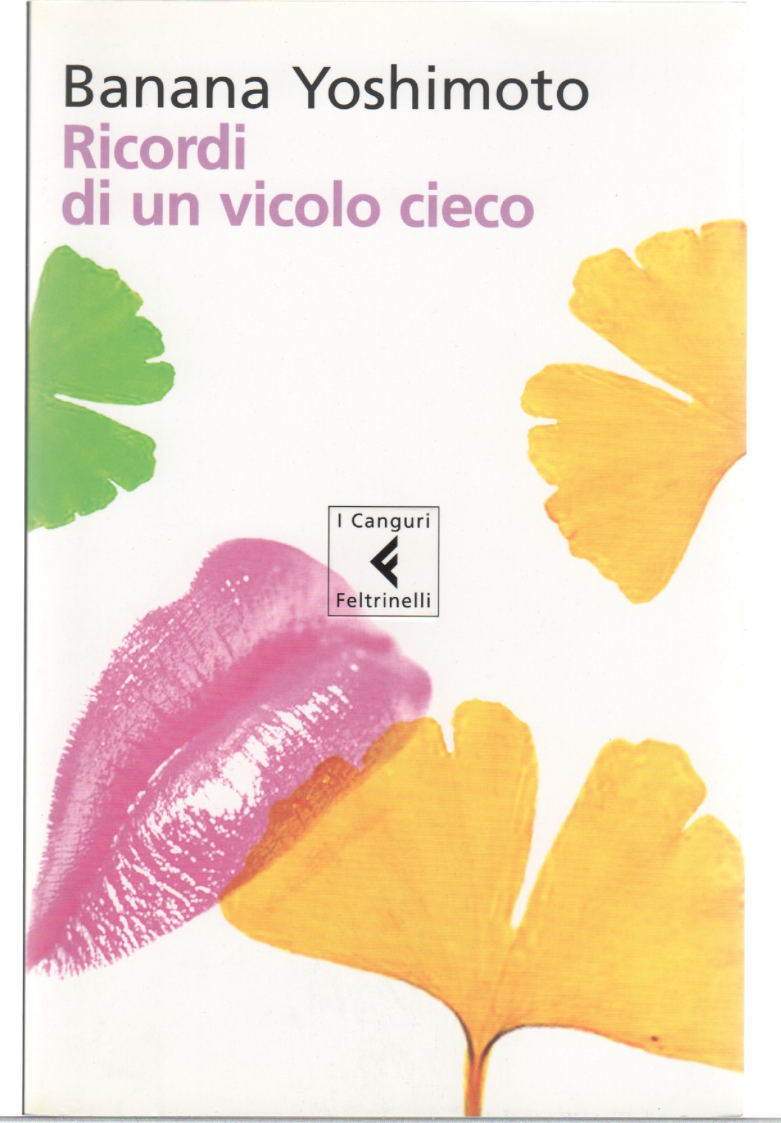 Ricordi Di Un Vicolo Cieco