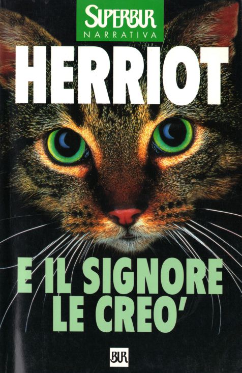 E il signore le creò