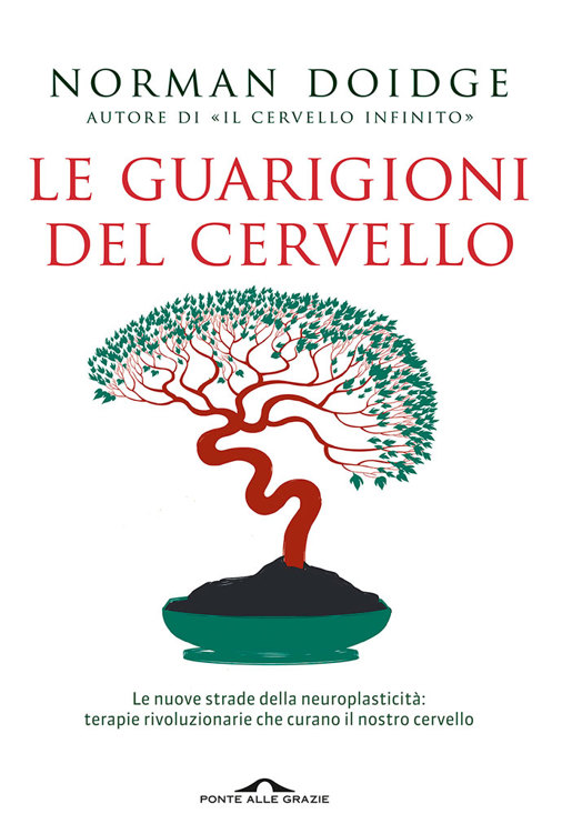 Le guarigioni del cervello