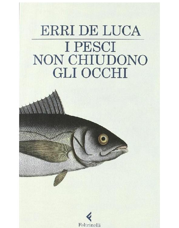 I pesci non chiudono gli occhi