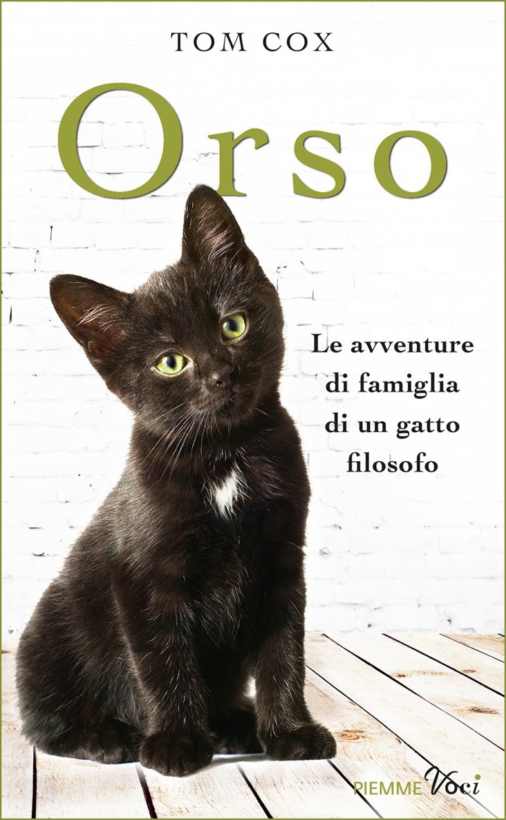 Orso. Le avventure di famiglia di un gatto filosofo
