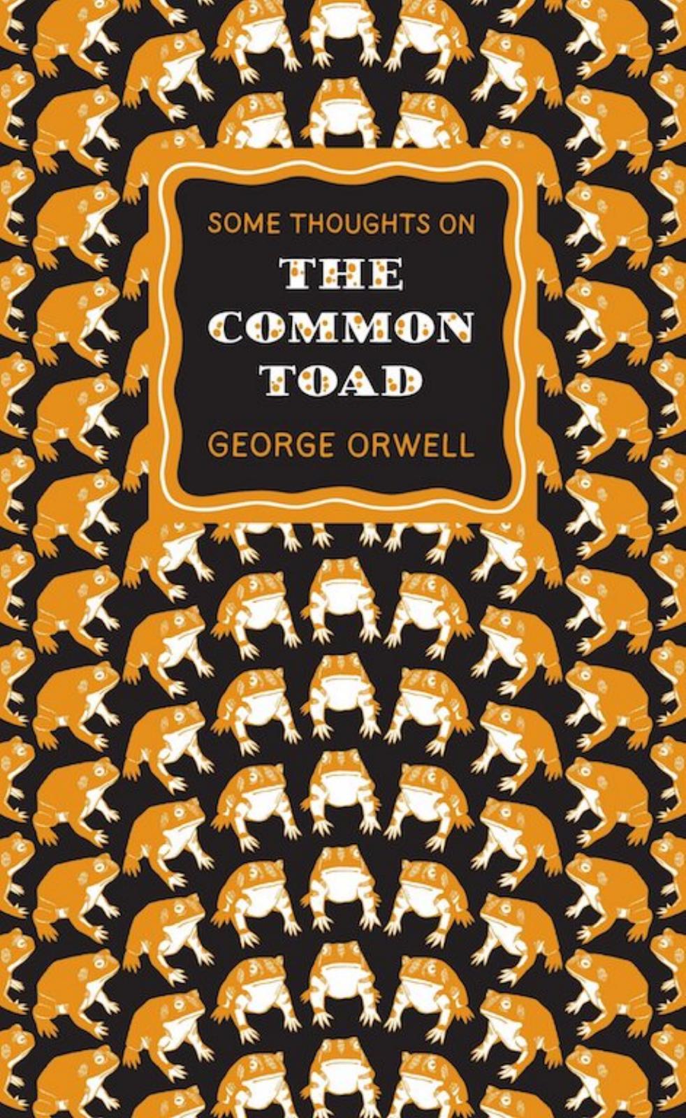 Some Thoughts on the Common Toad