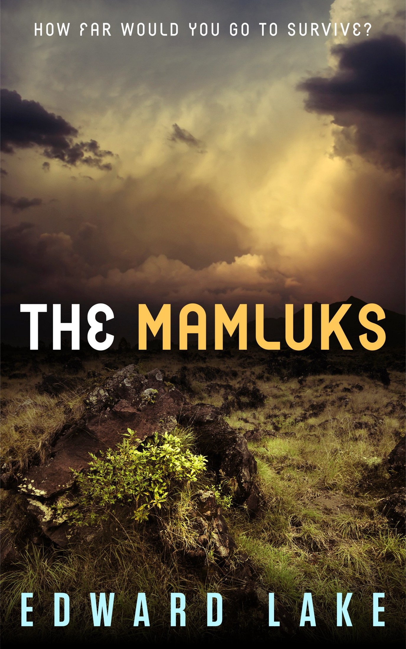 Mamluks