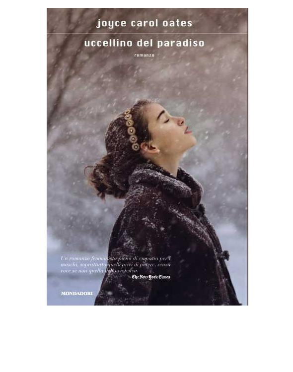 Uccellino del paradiso