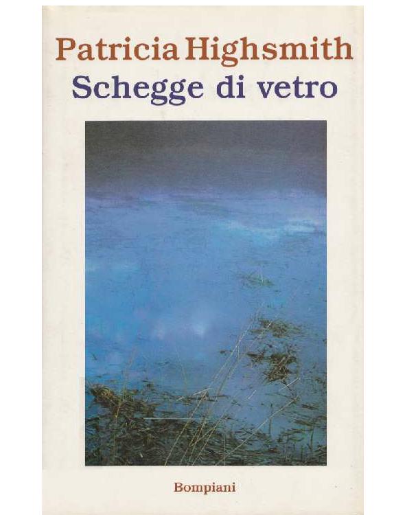 Schegge di vetro