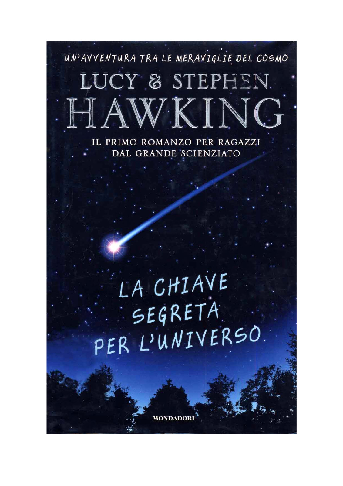 La Chiave Segreta per l'Universo